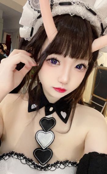 警花与警犬之再上征程第五季