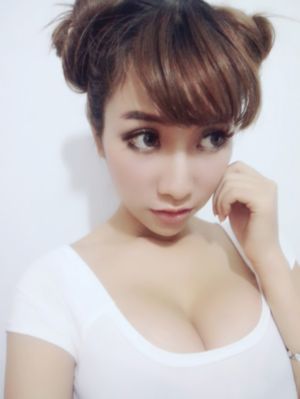 一级黄色网片